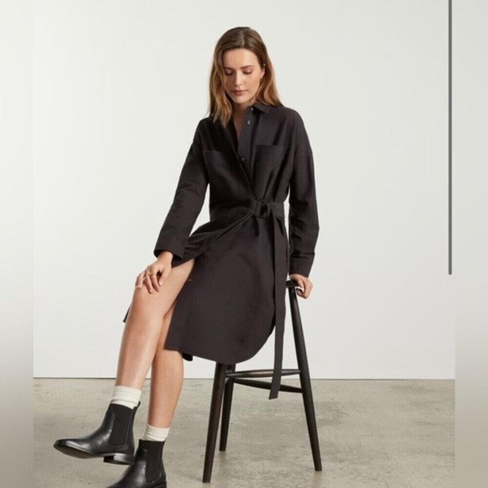 Everlane The Oxford Shirtdress